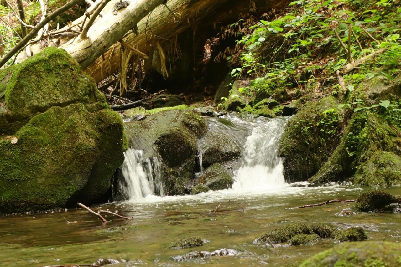 Penzion Chata Na Mlyne Horni Mesto Exterior photo